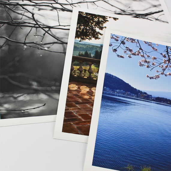 Matte Photo Paper Print